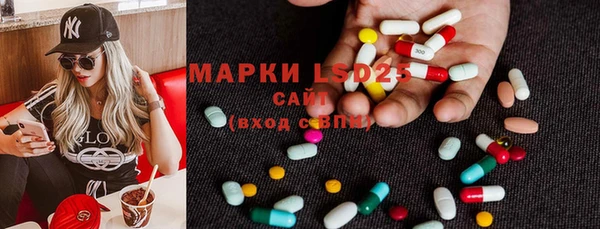 МДПВ Богородск