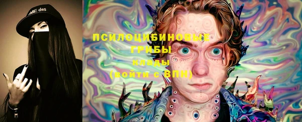 гашик Осинники