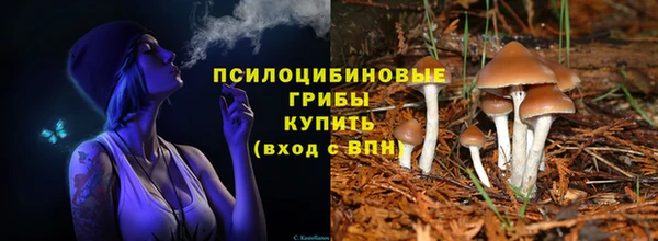 не бодяженный Нязепетровск